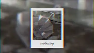 Saveo - Everlasting (Official Audio)