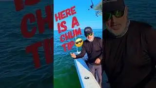 🎣 How I Work a Grass Bed to Catch Live Bait (Key Largo Backcountry Style) #jerkbaitfishing