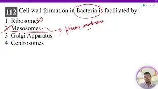 Cell wall formation in Bacteria is facilitated by : 1. Ribosomes 2. Mesosomes 3. Golgi Apparatus