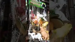Farm animals Toys #shorts