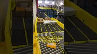 parcel singulator for automatically loading parcels into sorter. #singulator #factory