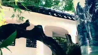 林語堂故居｜簡介 2