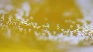 MoG E03   Macro Beer