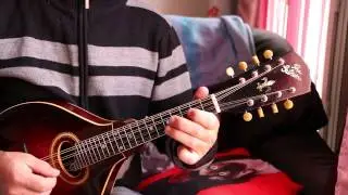 Mandolin tunes. Cooley's Reel