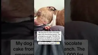 Luna&rsquo;s story in the description