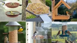 Beautiful Balcony Bird Feeder Ideas | Attract More Birds Easily l