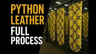 How Python Leather Is Made Today: Inside the Luxury Skin Factory (Full Process)
