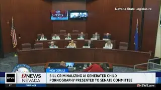 Bill to criminalize AI child porn presented to State Senate committee
