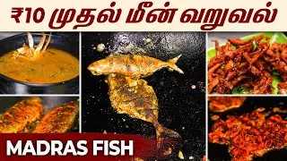 ₹10 முதல் ₹300 வரை தரமான Fish Fry Varieties😍| Cheapest Seafood in Chennai | Madras Fish