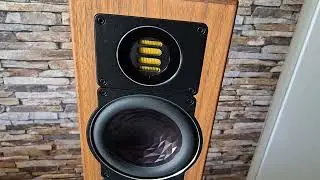 Elac FS 407 test