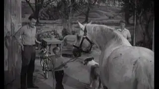 Lassie - Episode #184 - 
