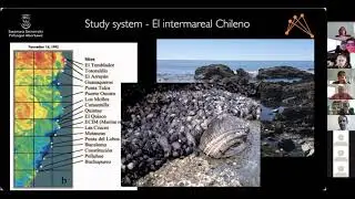 Geographical variation of multiplex ecological networks in marine intertidal communities - M. Lurgi