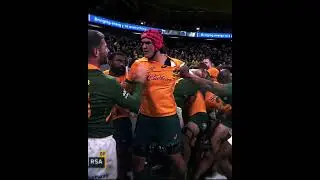 Eben Etzebeth💀 #shorts #rugby