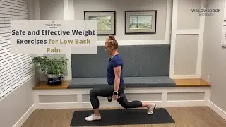 Safe and effective weight exercises for low back pain // Langley BC Chiropractor