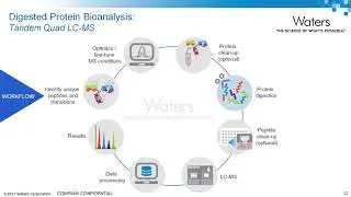 Protein Level Sample Purification and Digestion for LC-MS Quantification