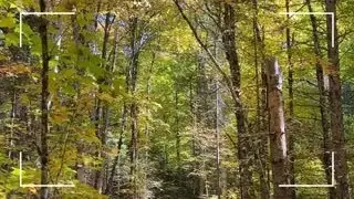 Hiking Booth's Rock Trail | Algonquin Park Adventure