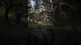 Experience unparalleled speed and control