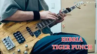 HIBRIAのTIGER PUNCHを弾いてみた