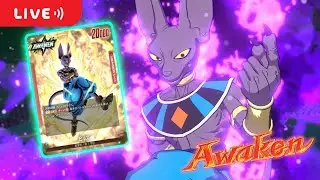 【GOD】【ドラゴンボールフュージョンワールド】【ビルス】今日もビルスくん　あと9人で登録者1000人です