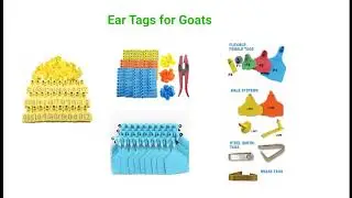 How to Add Breed & Animal Record In FarmingGoat Application
