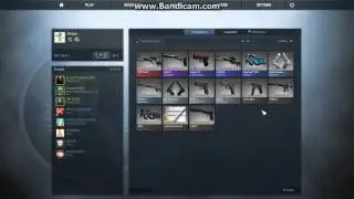 CSGO: FAST CASE OPENING