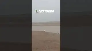 #duck #goose #birds duck hunting short video 10 million view