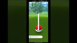 Hundo Pidove caught in the wild || Pokemon Go