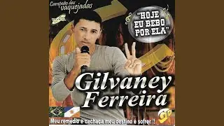 Hoje Eu Bebo por Ela