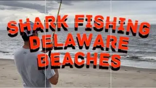 Surf Fishing Broadkill Beach Delaware for Sharks (Small Wonder Series : Season Two, Episode One)