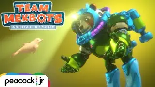 Muddy Muddy Dolphin Buddy 🐬 | TEAM MEKBOTS