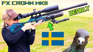 Super Sniper Blondie | FX Crown MKII | 26gr Slugs | Headshots | Pest Control | Long-Range