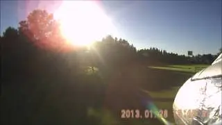 Dog hit by RC Plane or Plane hit by smart dog?