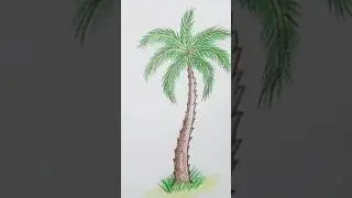 DATE PALM #drawing #arttutorial #easydrawing