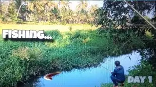 Tiny Hooks, Big Fun: Micro Fishing Challenge!🔥