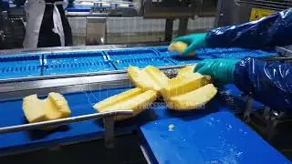 IQF PINEAPPLE PROCESSING LINE