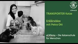 Transport Katzen Erkl&auml;rvideo mit Petra Ott