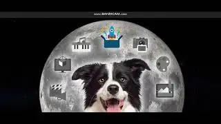 NEW  COIN  -Apollo Inu (APOLLO) - New Crypto Token - New Coin launching -new coin news