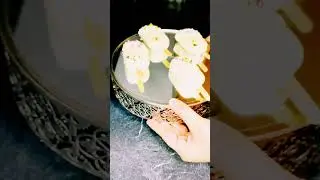 #b&acirc;tonnets de glace recette rapide sans cuisson