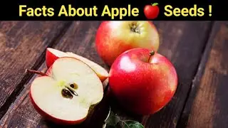 Facts About Apple Seeds | Cyanide From Apple Seeds | fact | By Jevin Vaghasiya #shorts #fact #apple