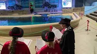 Blue Christmas The Lola Bard Holiday Carolers Brookfield Zoo Holiday Magic 1/3/26