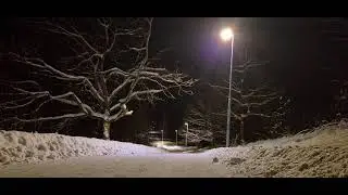 Absolute stillness in the heart of winter -15 °