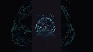 Доступный ноотроп из аптеки
