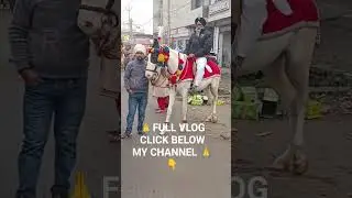 #nagarkirtan #fullvlog #mychannel #shorts