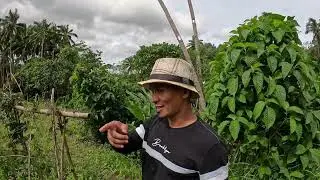 Update NAMAN NATIN SI LUIGI MULA NOONG KANYANG PAMANHIKAN..