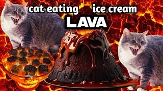 Cat Eats Lava Ice Cream | Most Satisfying & Funny Cat Video.
