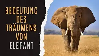 Tr&auml;umen Von Elefant | Traumlexikon Elefant | Tr&auml;ume Mit Elefant Erkl&auml;rt | Symbolik Von Elefant