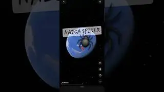Nazca Spider 🕷 Found On Google Earth | Google Maps 🌏 #music #shorts