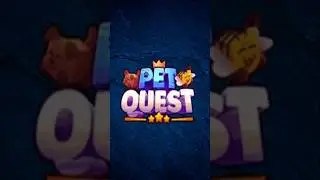 I'm Partner with Pet Quest Now! Try This Game Out (Roblox)