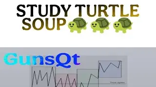Study turtle Wick Soup (TS Low) Strukture Candle