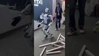 Dr 01 walking